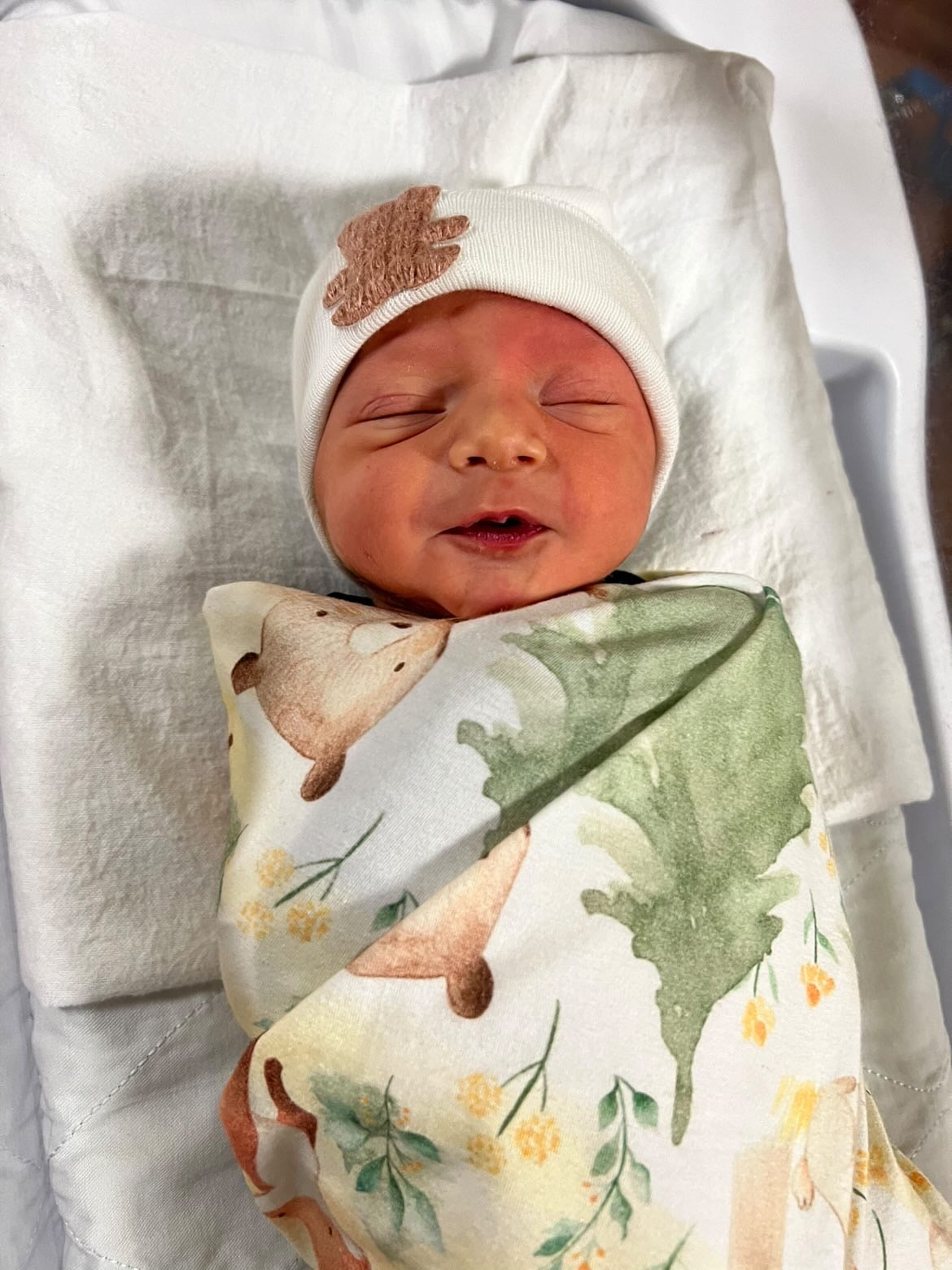 Forest Animals Swaddle