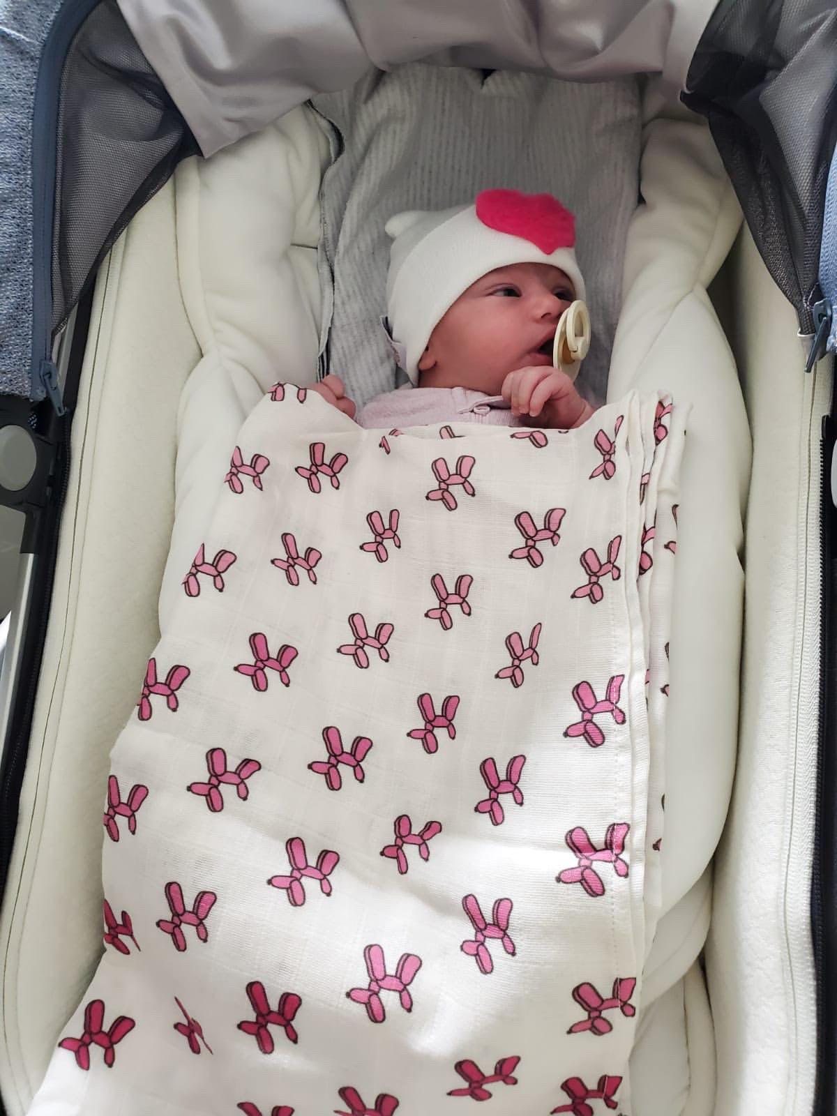 Large Furry Heart Hospital Hat - The Gifted Baby NY